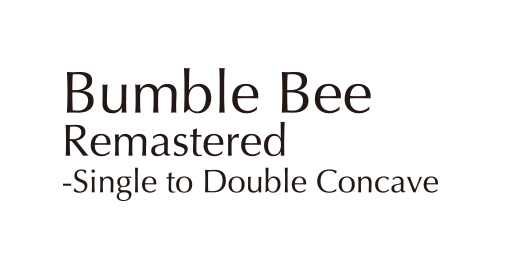 bumblebee_4